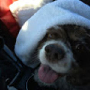 Meet your Posher, Joanna beth